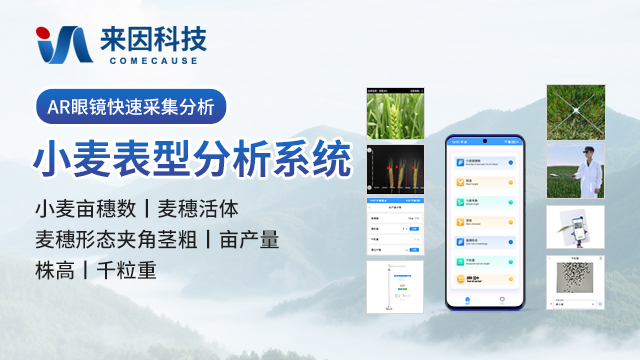 小麦表型测量仪 IN-XM05 — 山东来因光电科技有限公司